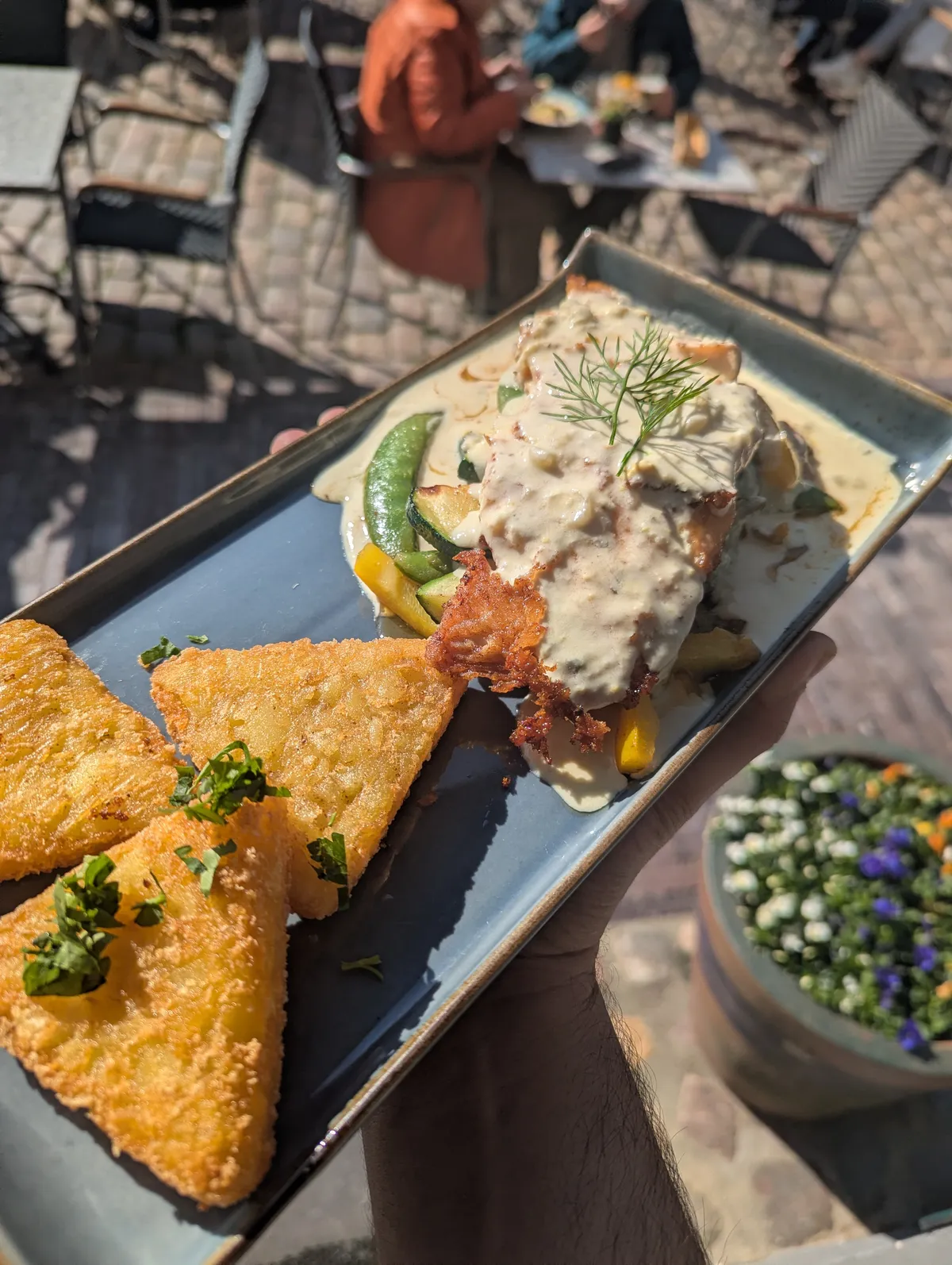 Gebratener Lachs mit Beilage bei Restaurant Kaspio in Stade